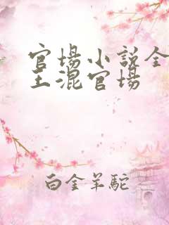 官场小说全能兵王混官场