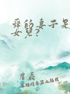 舜的妻子是谁的女儿?