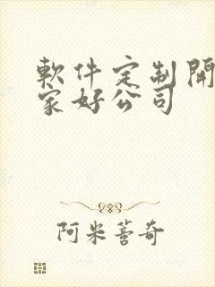 软件定制开发哪家好公司
