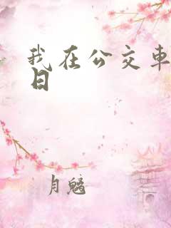 我在公交车上被日