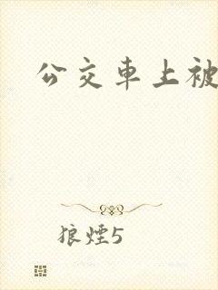 公交车上被插爽