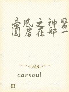 帝凰之神医弃妃圆房在哪一章