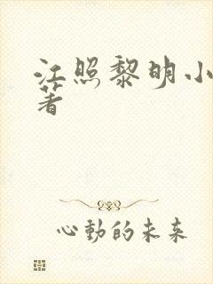 江照黎明小说原著
