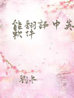 能翻译中英文的软件