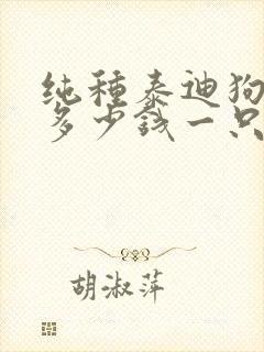 纯种泰迪狗价格多少钱一只