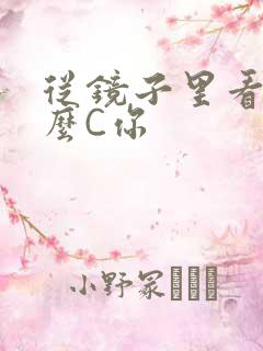 从镜子里看我怎么C你