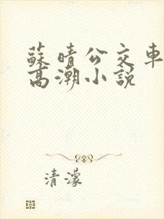 苏晴公交车被弄高潮小说