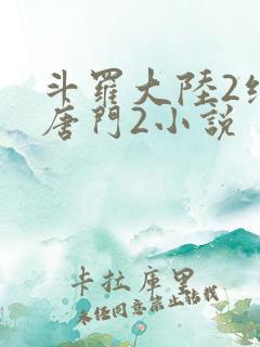 斗罗大陆2绝世唐门2小说