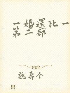 一婚还比一婚高第二部