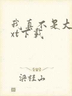 我真不是大佬txt下载