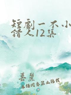 短剧一不小心撩错人12集