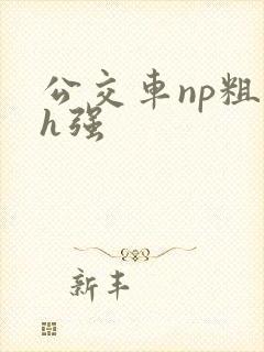 公交车np粗暴h强