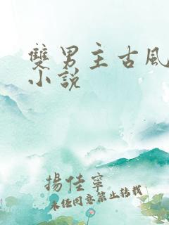 双男主古风穿越小说