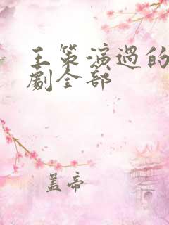 王策演过的电视剧全部