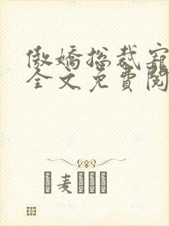 傲娇总裁宠上瘾全文免费阅读全文