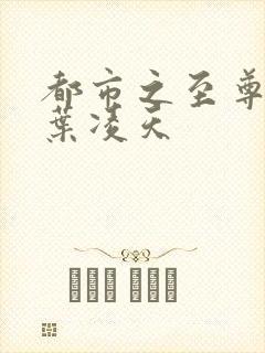 都市之至尊战神叶凌天