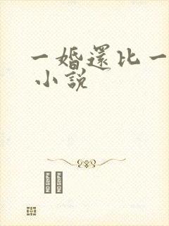 一婚还比一婚高 小说