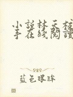 小说林天校花杀手在线阅读