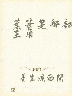 叶萧是哪部小说主角