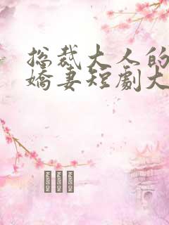 总裁大人的暖婚娇妻短剧大结局