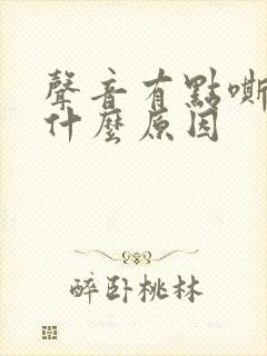 声音有点嘶哑是什么原因