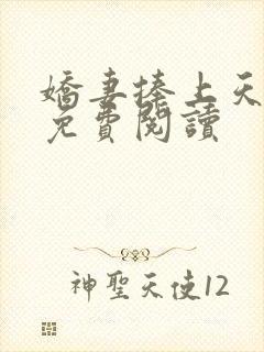 娇妻捧上天小说免费阅读