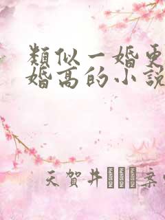 类似一婚更比一婚高的小说