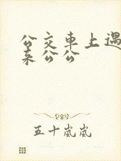 公交车上遇到未来公公