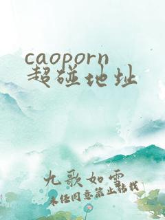 caoporn超碰地址