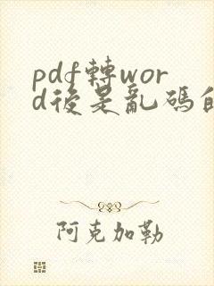 pdf转word后是乱码的怎么办