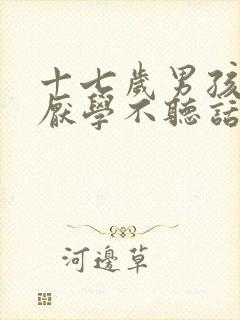 十七岁男孩叛逆厌学不听话