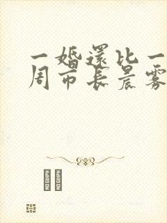 一婚还比一婚高周市长晨雾的光