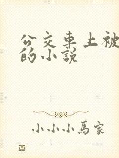 公交车上被进入的小说