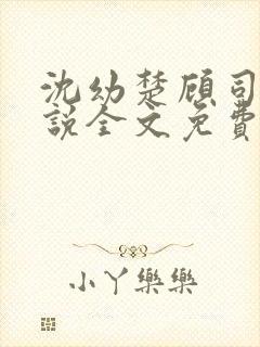 沈幼楚顾司夜小说全文免费阅读全文