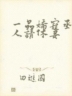 一品娇宠丞相大人请休妻