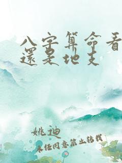 八字算命看天干还是地支