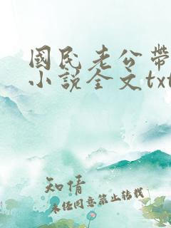 国民老公带回家小说全文txt