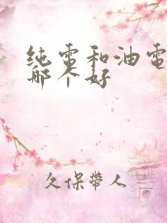 纯电和油电混合哪个好