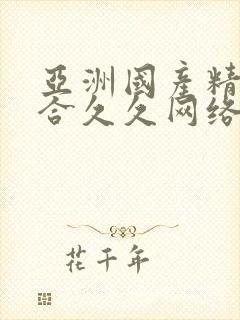 亚洲国产精品综合久久网络