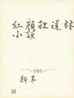 红颜政道林慕雪小说