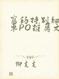写的特别细的开车PO推荐文多人