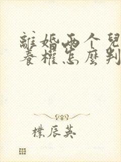 离婚两个儿子抚养权怎么判定
