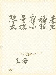 限量宠婚老公别太坏小说免费阅读
