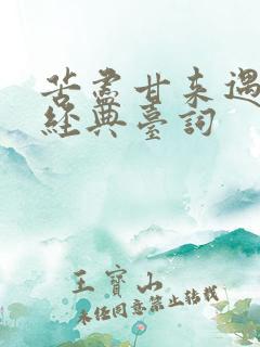 苦尽甘来遇见你经典台词