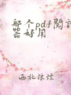 哪个pdf阅读器好用