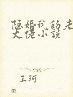 隐婚我的老公是大佬小说