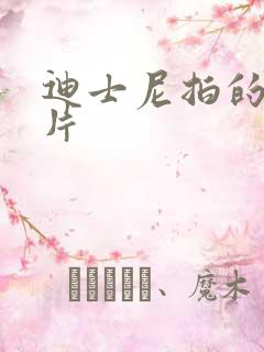 迪士尼拍的动画片