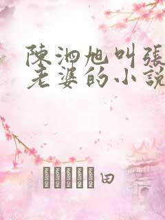 陈泗旭叫张真源老婆的小说