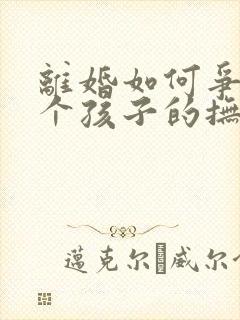 离婚如何争夺两个孩子的抚养权