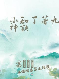 小知了著九天斩神诀